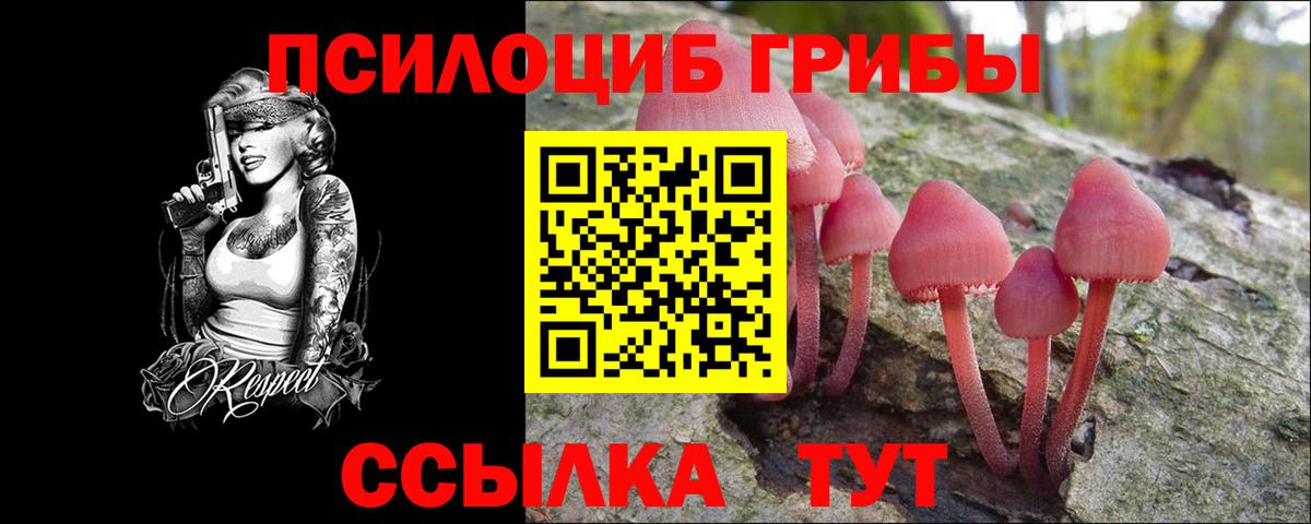 Гусь-Хрустальный  Псилоцибиновые грибы Magic Shrooms  Вход с VPN  Псилоцибиновые грибы мухоморы 